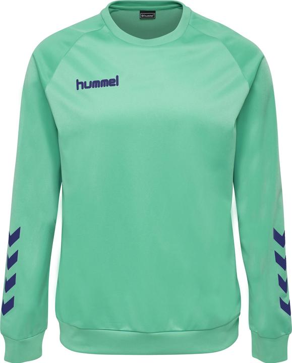 Image du produit hummel Promo Kids Poly Sweatshirt (140)