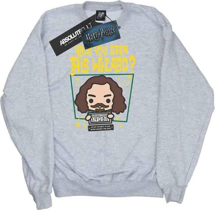 Produktbild Sirius Black Azkaban Junior Sweatshirt Jungen (140, 146)