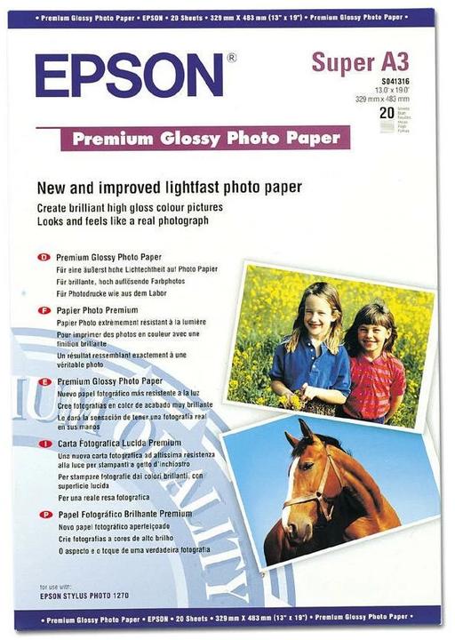Image du produit Epson Premium Glossy (250 g/m², A3+, 20 x)