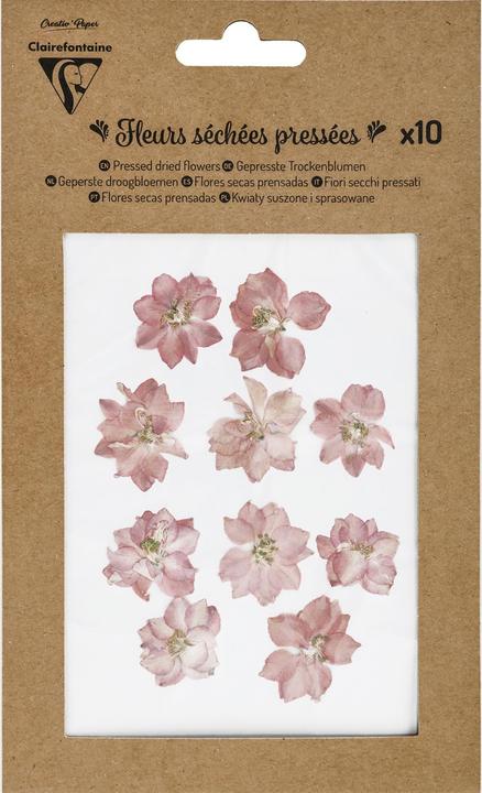 Immagine prodotto Clairefontaine Fiori secchi rosa (Fiori secchi)