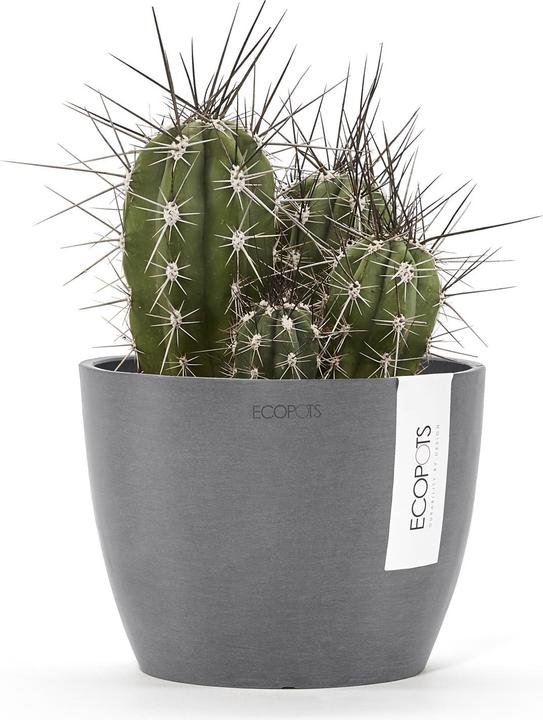 Actual product image Ecopots Stockholm (16 cm)