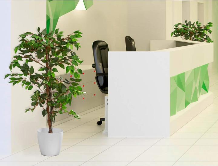 Immagine prodotto Paperflow Fico (120 cm)