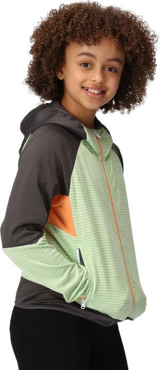 Image du produit Regatta - Veste softshell PRENTON - Enfant (104)