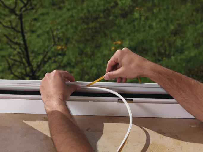 Actual product image tesa tesamoll CLASSIC P-profile window seal, rubber seal for insulation