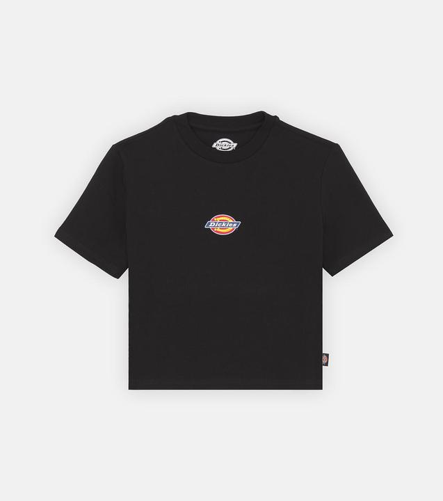 Image du produit Dickies Maple Valley Tee Black (S)