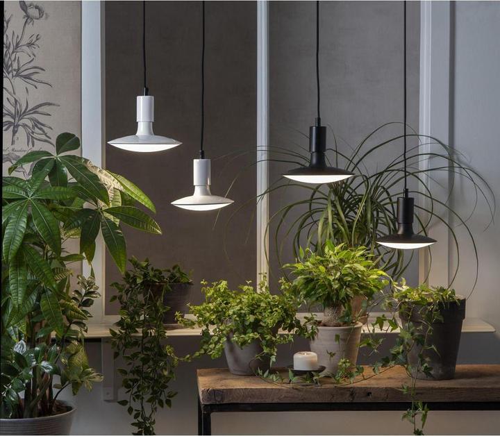 Immagine prodotto Star Trading Lampada (E27, 25 W, 1600 lm, 1 x, G)