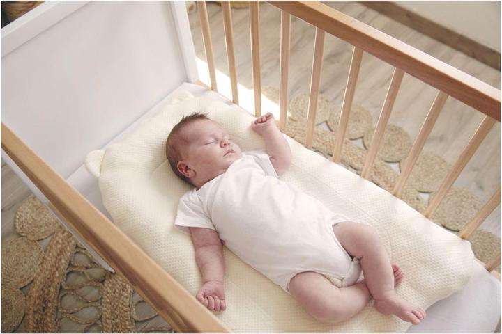 Image du produit Candide Support de sommeil Topponcino