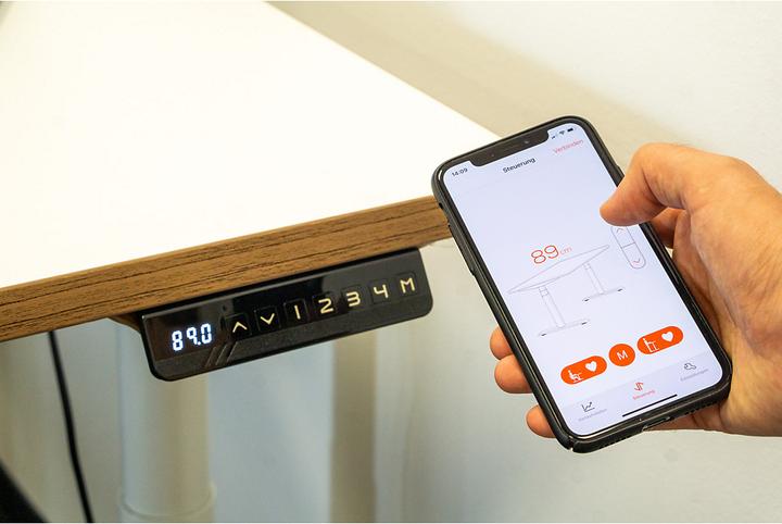 Actual product image Newpo Desk