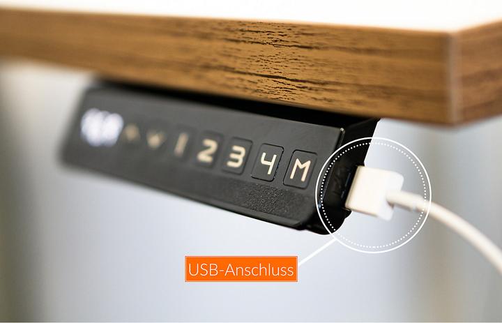 Actual product image Newpo Desk