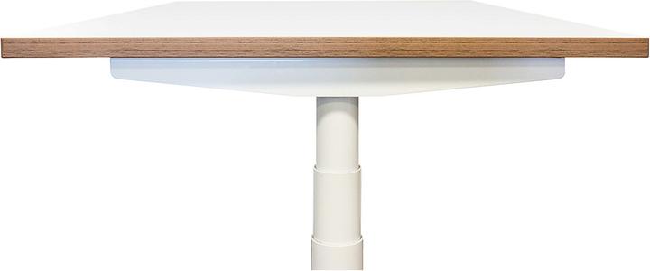 Actual product image Newpo Desk