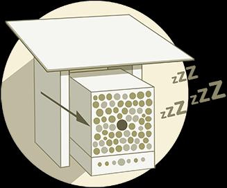 Actual product image Wildbiene BeeHome Classic (Bee)