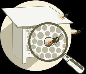 Actual product image Wildbiene BeeHome Classic (Bee)