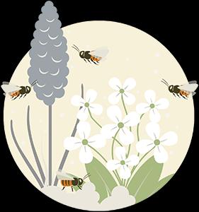 Actual product image Wildbiene BeeHome Classic (Bee)
