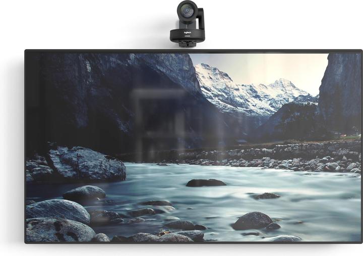 Actual product image Heckler AV Professional - Bracket - for camera (Mounting kit)