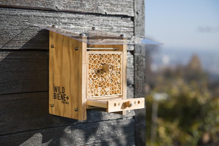 Immagine prodotto Wildbiene BeeHome Observer (Ape)