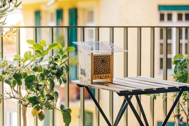 Immagine prodotto Wildbiene BeeHome Observer (Ape)