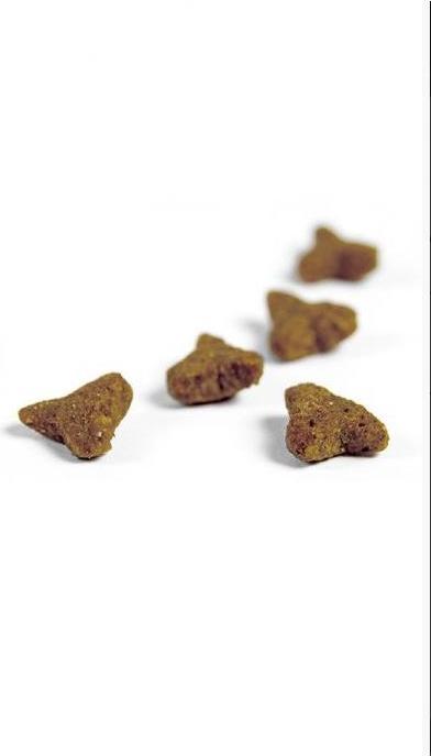 Image du produit Josera Sensicat (Adulte, 1 pcs, 10000 g)
