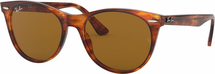 Image du produit Ray Ban Wayfarer II