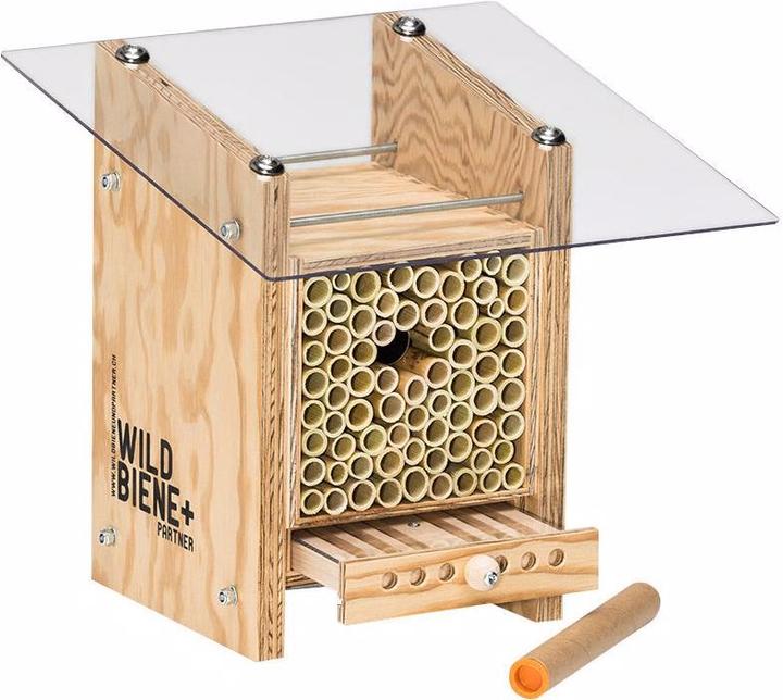 Wildbiene BeeHome Observer (Abeille)