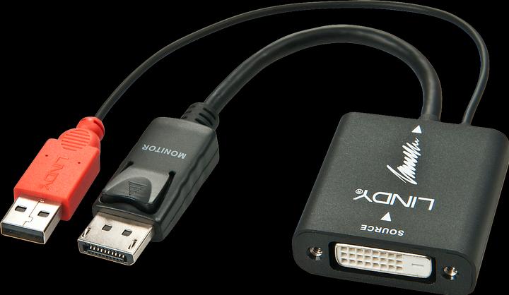 Immagine prodotto Lindy Convertitore da DVI-D a DisplayPort (UNIDirezionale). Da presa DVI-D a spina DP. (DP, 15 cm)