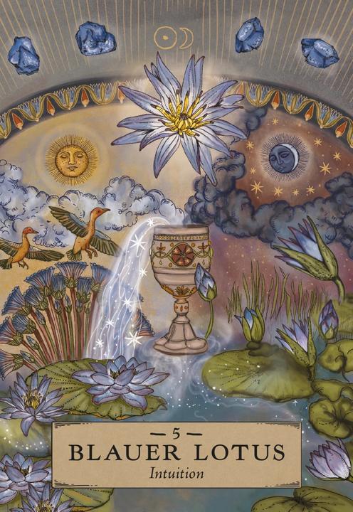 Produktbild Herbal Astrology Orakel: 55 Karten mit Botschaften und Anleitungen (Deutsch, Adriana Ayales, Joséphine Klerks, 2023)
