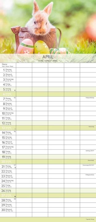 Produktbild Alpha Edition Familienkalender (19.5 x 45 cm, Harter Einband, Deutsch)
