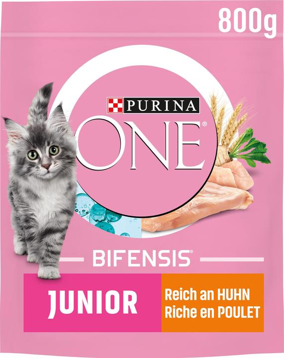 Purina ONE Dried fodder