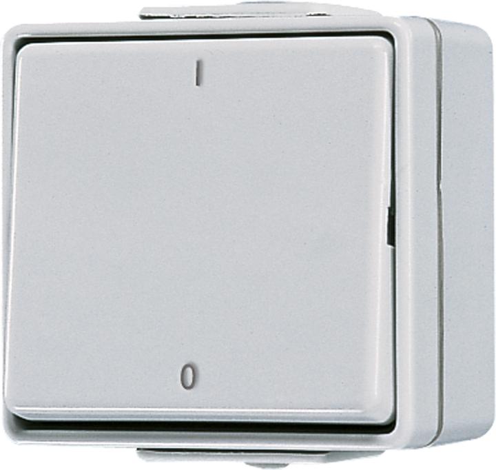 Actual product image Jung Polykontakt Rocker switch surface-mounted, with marking I 0, Off 2-pole, grey