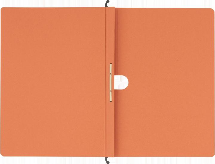 Actual product image Elba hanging file type 81, overhanging tab fold, orange manila board 250 g-sqm, metal hanging rail, chewy (A4, 1 x)