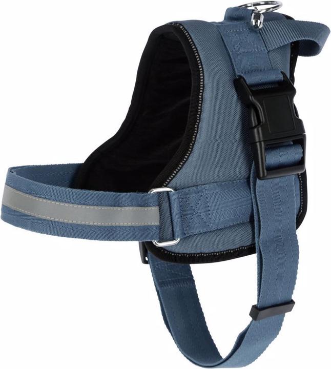 Produktbild Kerbl Hundegeschirr Maestro 20 (Hund, Hundesport)
