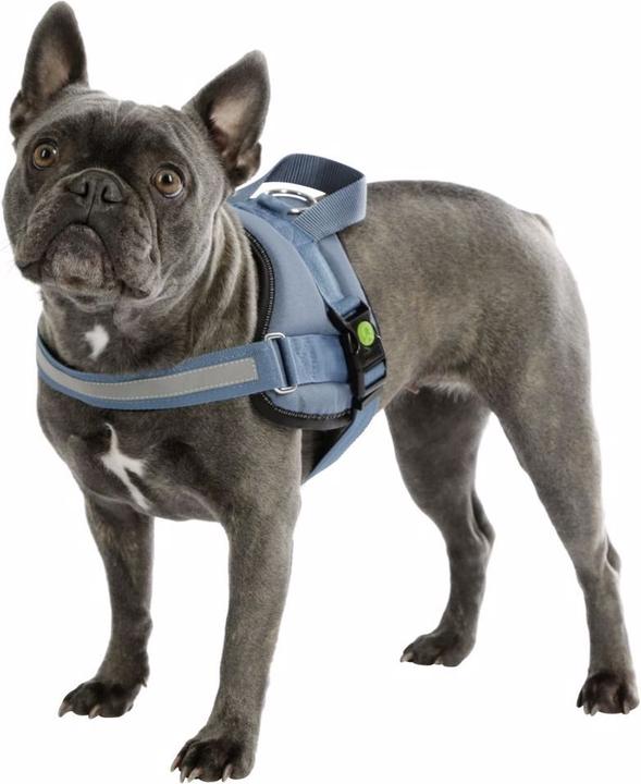Produktbild Kerbl Hundegeschirr Maestro 20 (Hund, Hundesport)