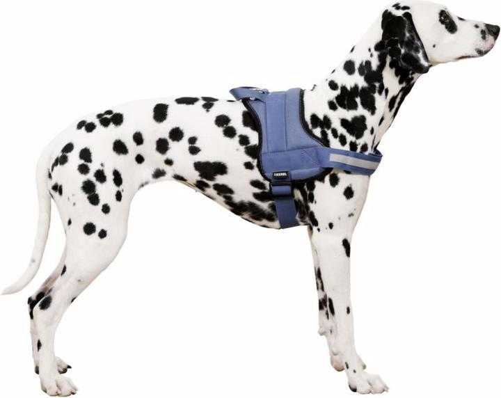 Produktbild Kerbl Hundegeschirr Maestro 20 (Hund, Hundesport)
