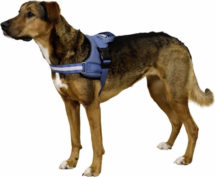 Produktbild Kerbl Hundegeschirr Maestro 20 (Hund, Hundesport)