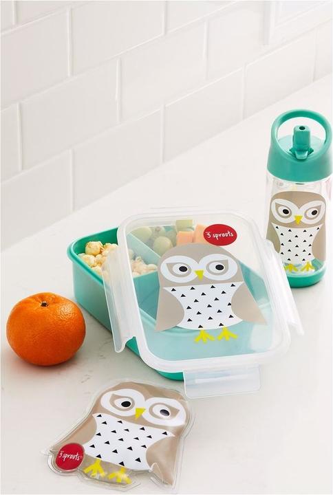 Actual product image 3 Sprouts lunch box