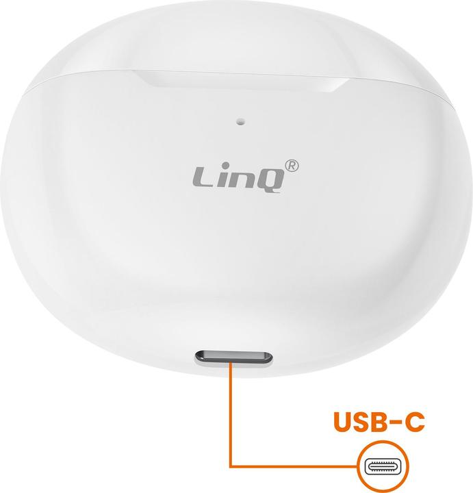 Actual product image LinQ R9561 (4 h, Wireless)