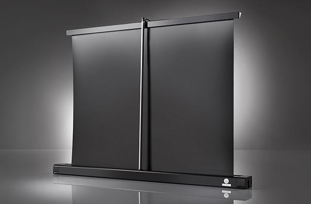Actual product image Celexon Professional Mini (50", 16:9)
