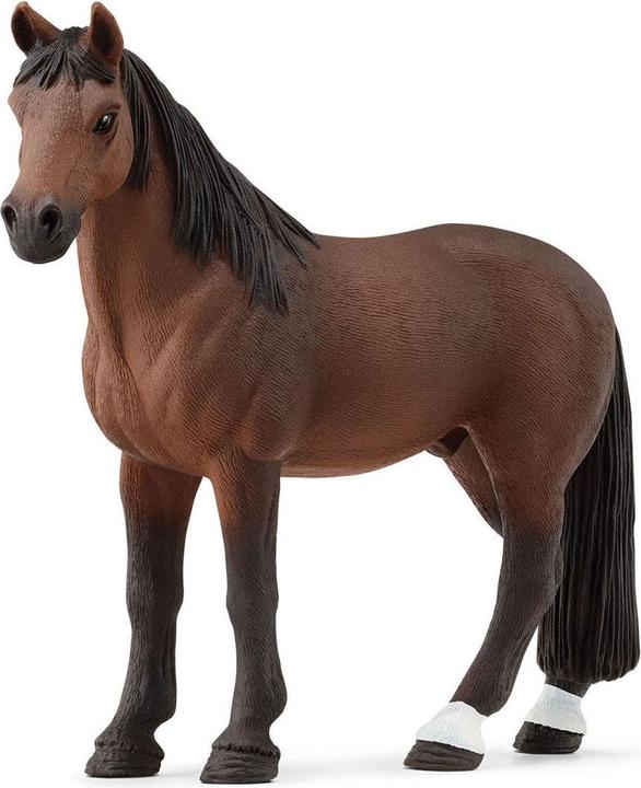 Immagine prodotto Schleich CAVALLO CLUB Cavallo Lipizzano - 72180