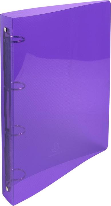 Immagine prodotto Exacompta Raccoglitori ad anelli (A4, 40 mm, 240.30 Pezzo/i)