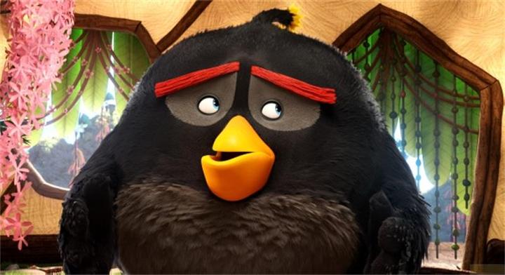 Produktbild Angry Birds - Der Film (DVD, 2016, Deutsch, Türkisch, Polnisch, Isländisch, Portugiesisch, Englisch)