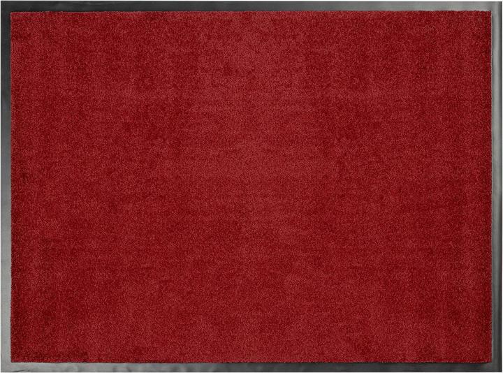 Rot 58
