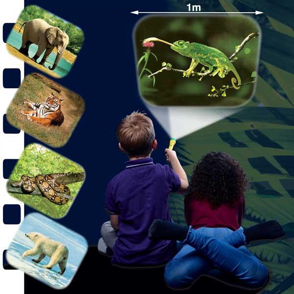 Image du produit Brainstorm Torche et projecteur d'animaux (Allemand, Français, Italien, Anglais)