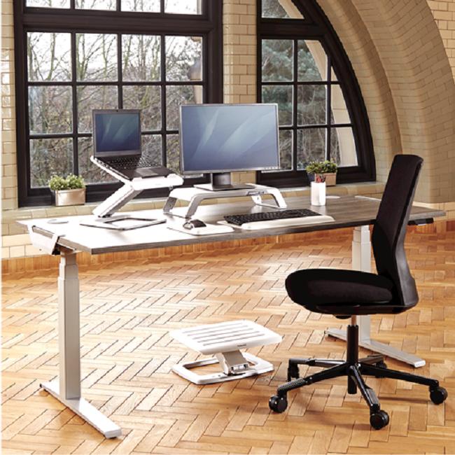 Actual product image Fellowes Hana