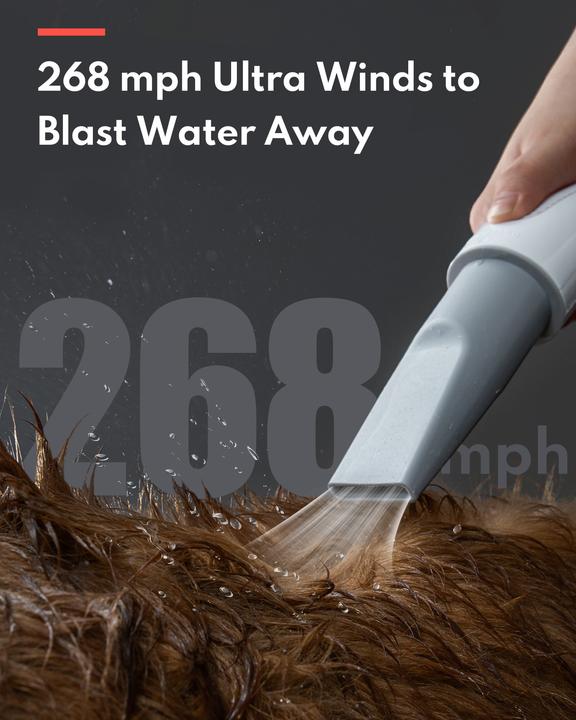 Actual product image HomeRunPet Pet hairdryer PD10 (Dog)