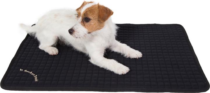 Produktbild Back on Track Hundematratze Allround (Hund)