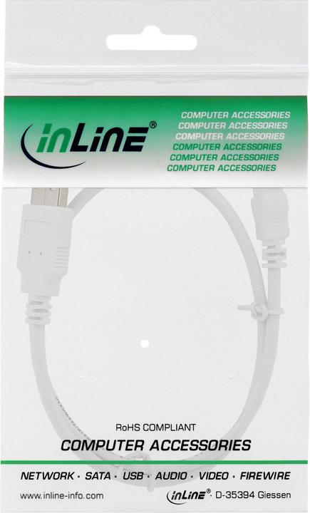 Image du produit InLine Câble mini USB 2.0 (1 m, USB 2.0)