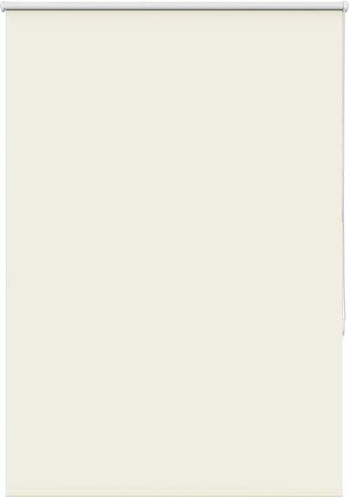 Cream white
