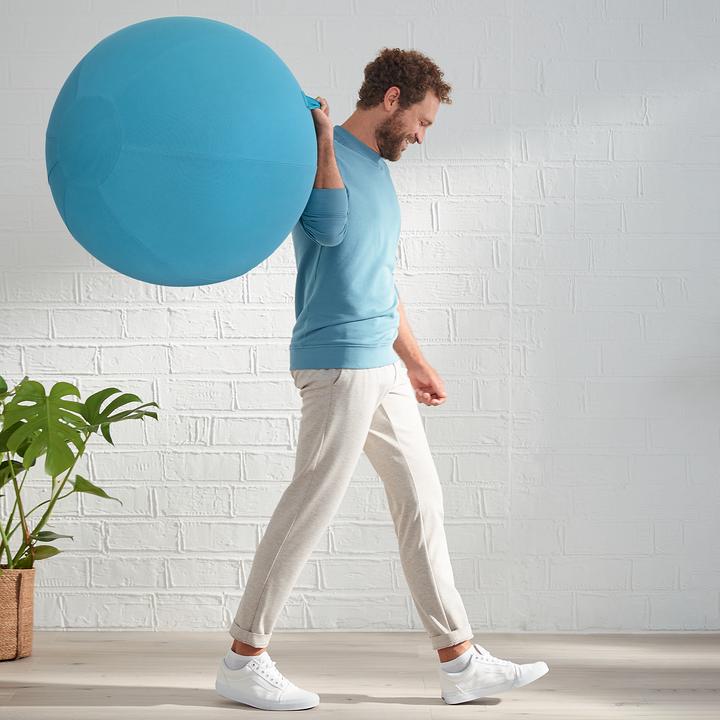 Produktbild Leitz Ergo Cosy Active Sitzball (65 cm)
