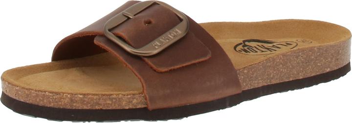 Actual product image Plakton Bis 3 Apure (42)