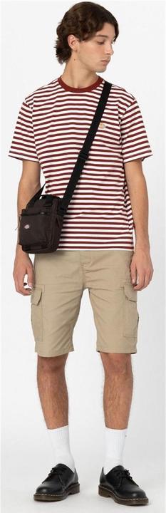 Produktbild Dickies Millerville Shorts - 81693 (32)