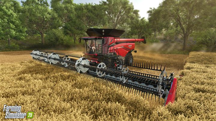 Actual product image Giants Software Farming Simulator 25 (EN)